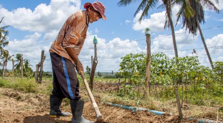 Agricultores familiares já podem fazer inscrição no Programa Garantia Safra