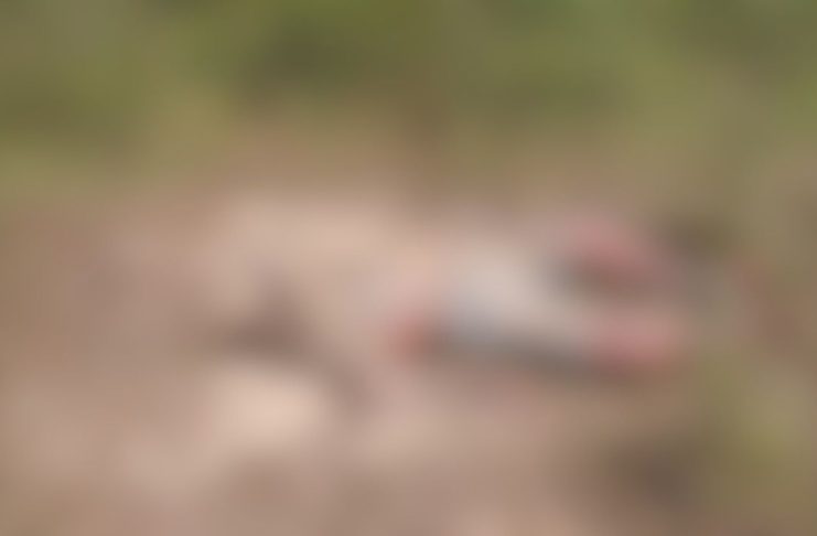 WhatsApp Image 2023-09-04 at 15.45.33