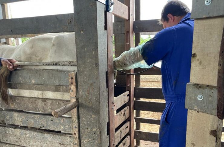 slide_06585e1a591362d191f6a268c4776a15