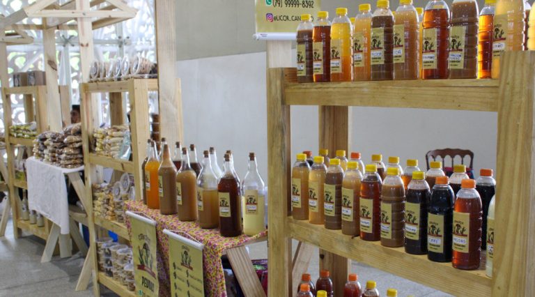 Artesanato e economia solidária sergipana marcam presença no 27º Congresso Brasileiro de Reprodução Assistida