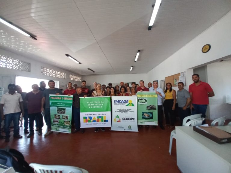 MAPA fortalece a cadeia produtiva da Mandioca em Lagarto
