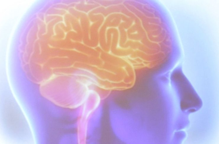 Rio de Janeiro - O presidente Michel Temer e o governador Luiz Fernando Pezão participam da inauguração do centro de radiocirurgia do Instituto Estadual do Cérebro, no centro do Rio (Tânia Rêgo/Agência Brasil)