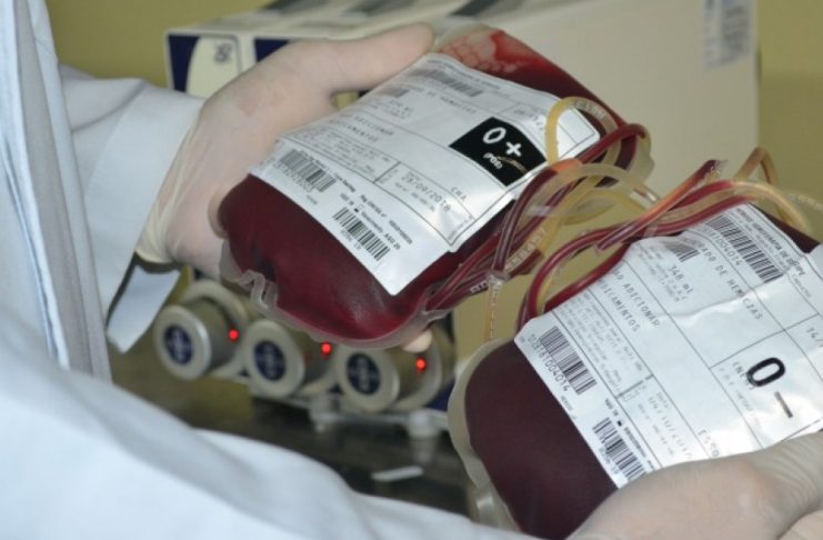 slide_8d4f1f247cb20463fd757300317b7612