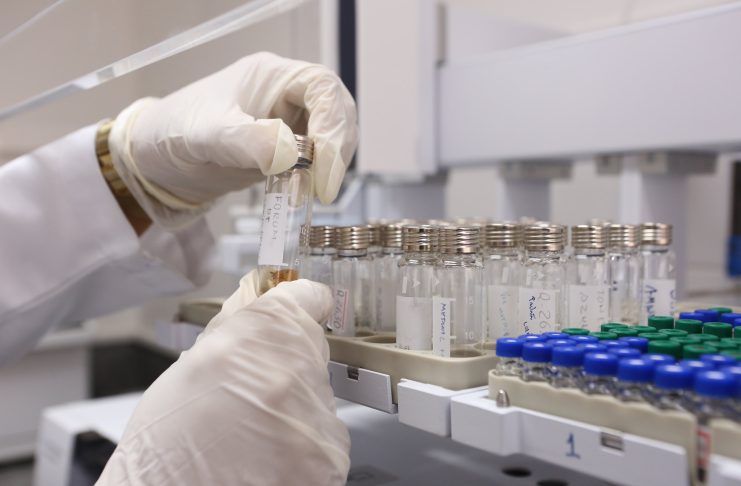 51716957617_1604b654e3_k