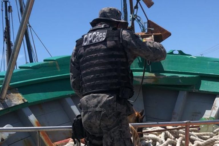 Polícia conta com apoio de cães farejadores para detecção de drogas em embarcação