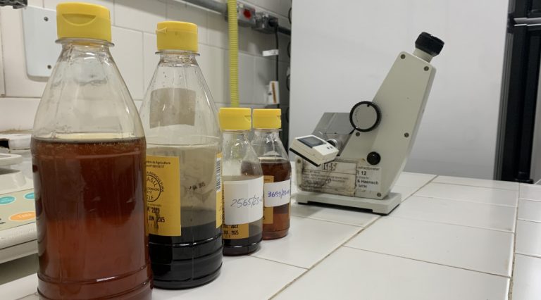 ITPS de SE alerta para riscos da ingestão de mel contaminado
