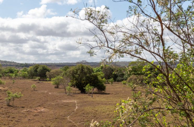 slide_f963e6d182db684dad2519e2e4298a9c