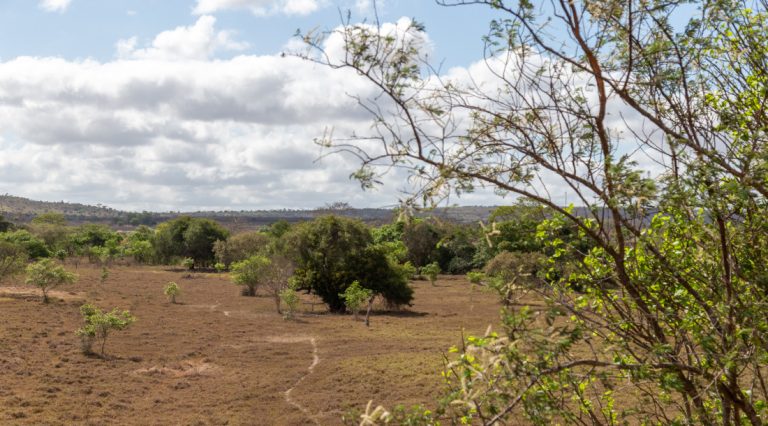 Semana terá possibilidade de chuva leve e registro de altas temperaturas