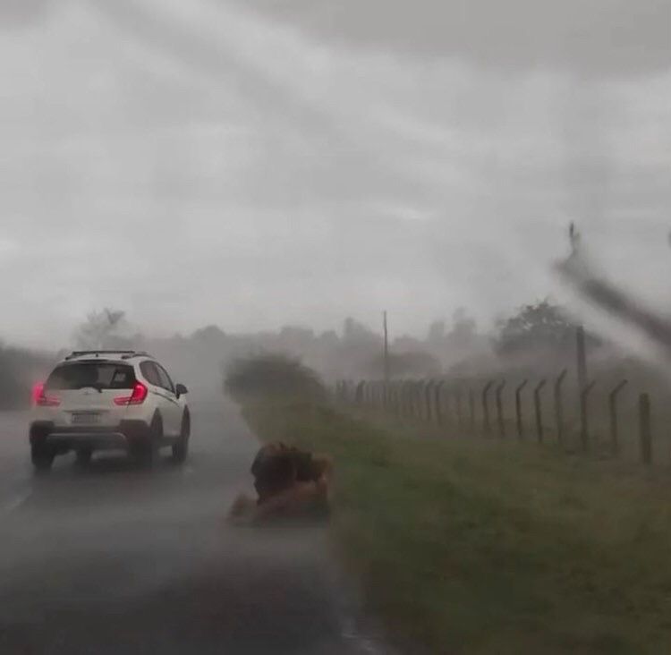 Mulher morre após ser atingida por um raio no interior de Sergipe