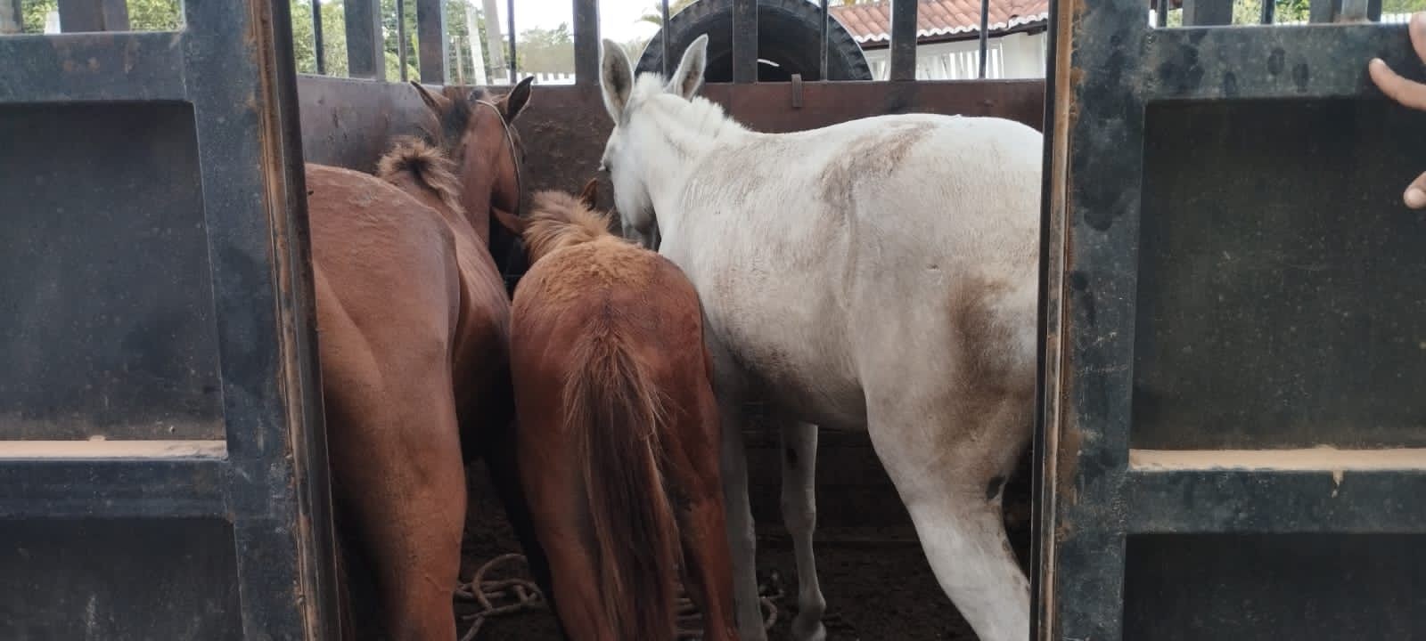 WhatsApp Image 2023-12-20 at 05.26.54