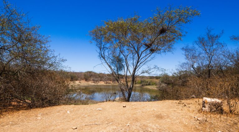 Semac emite alerta de baixa umidade em três municípios do alto sertão sergipano