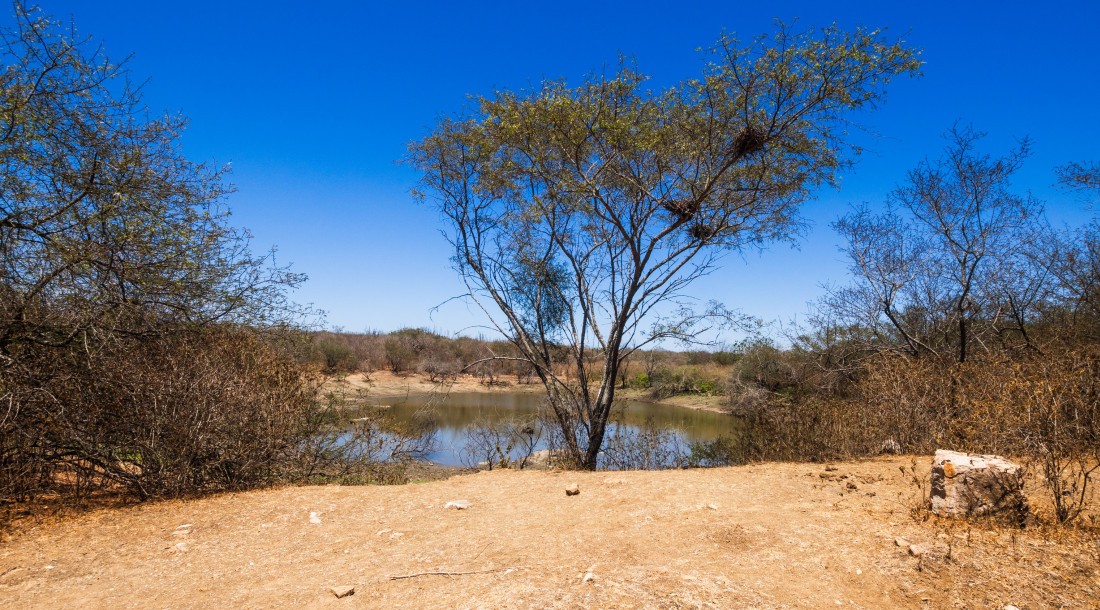 Foto: Arthuro Paganini