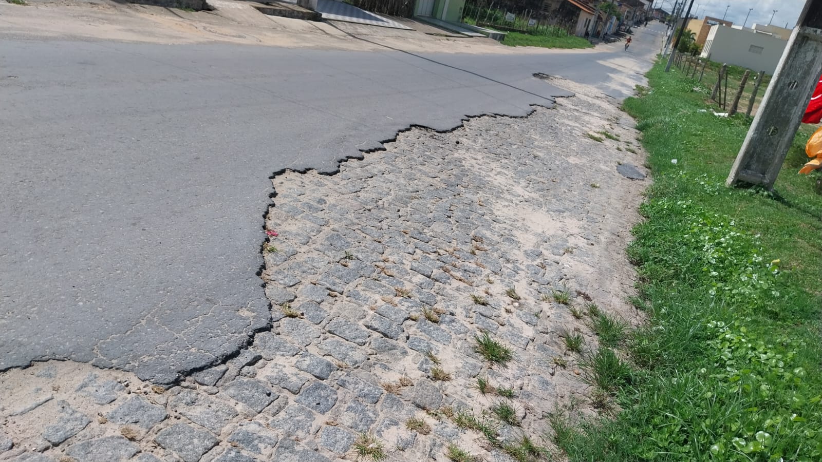 WhatsApp Image 2024-01-19 at 09.55.26