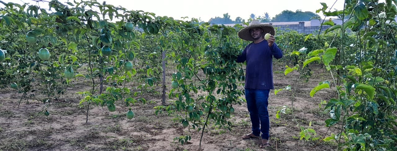 Agricultor irrigante no Perímetro Irrigado Piauí, Weverton da Silva, acredita que é importante a divulgação da incidência da fusariose, para que outros produtores ajudem a prevenir / Foto: arquivo pessoal