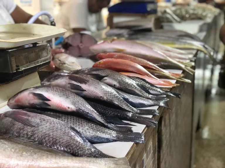 Semana Santa: Procon divulga pesquisa de preços dos pescados