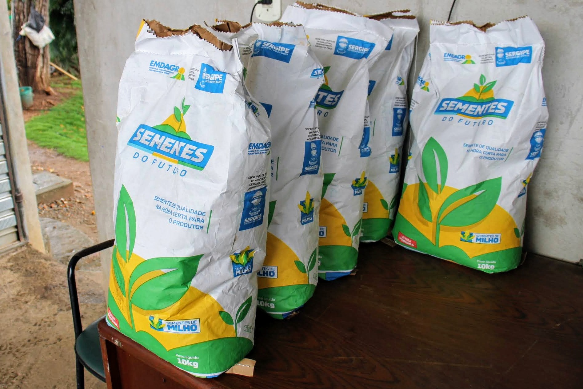 Governo do Estado adquiriu 206 toneladas de sementes de milho, para beneficiar 20.600 famílias de 46 municípios sergipanos / Foto: Fernando Augusto/Ascom Coderse