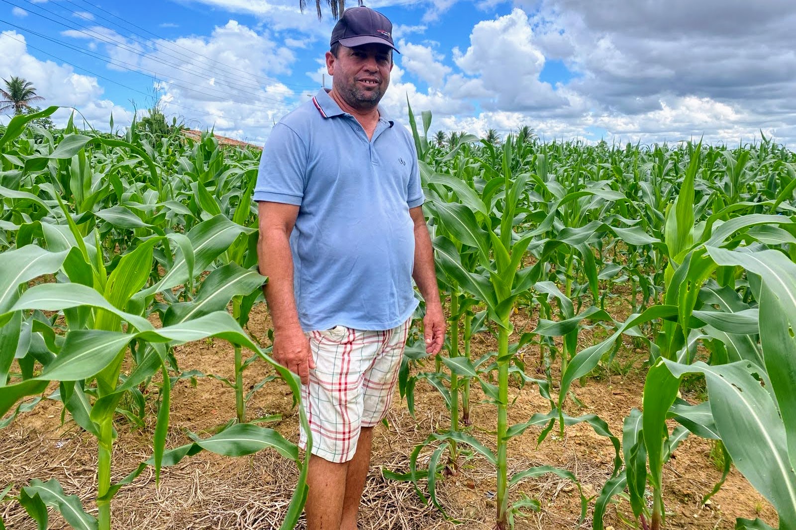Gilvan Lima prefere produzir seu milho para vender as espigas. Segundo ele, plantar depois do dia de São José é a melhor escolha / Foto: Arquivo pessoal