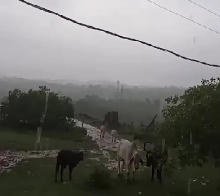 Sergipe segue sob alerta de chuvas intensas até este sábado (19), informa INMET
