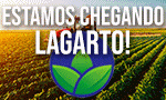 agrorioclaro-2024-33333