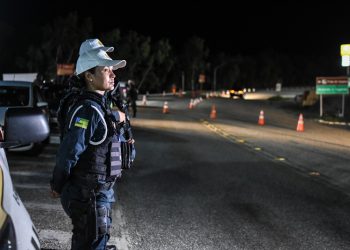 PM orienta como agir ao se deparar com animal solto na pista