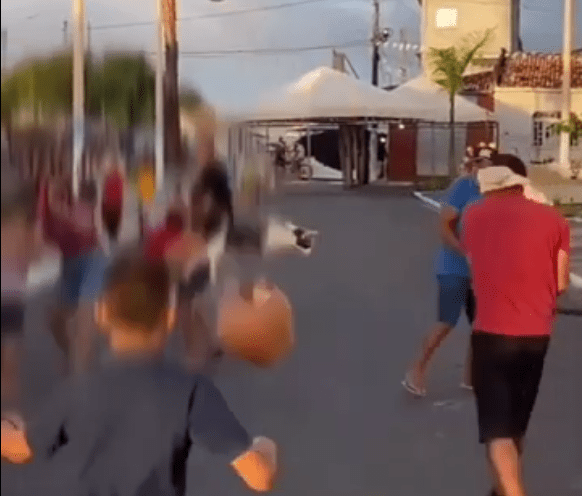 PC investiga crime de maus-tratos contra gato no interior de SE