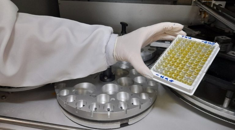 Secretaria da Saúde realiza monitoramento do vírus oropouche em Sergipe