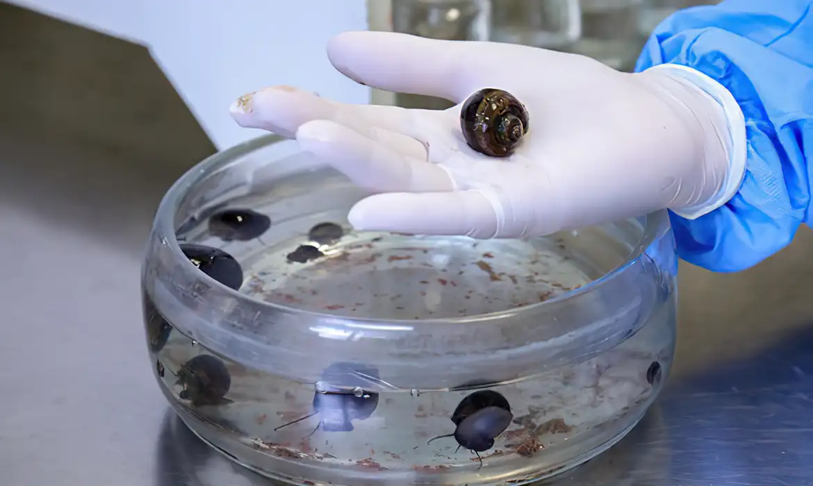 Foto: Josué Damacena