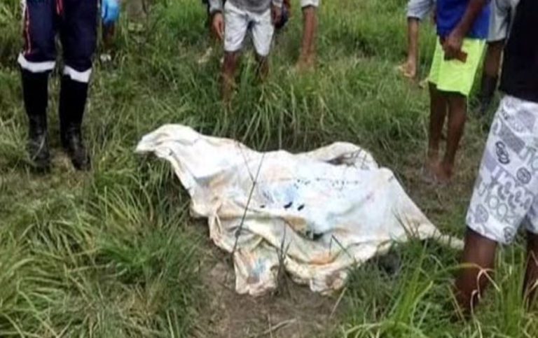 Homem morre após ser atingido por boi em Tobias Barreto