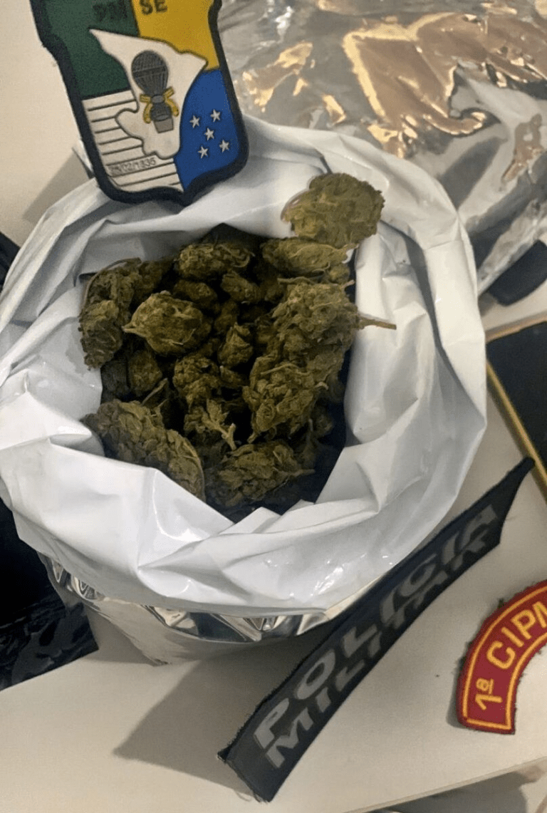 Polícia Militar de Sergipe apreende 38 Kg de maconha avaliada em 500 mil reais