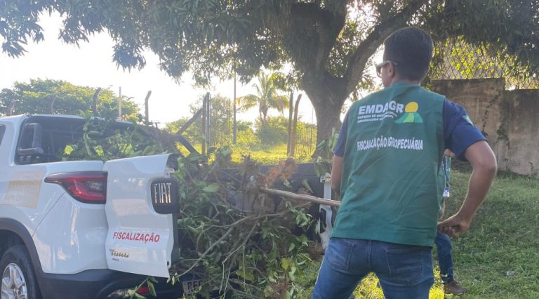 Emdagro realiza fiscalização para combater mudas clandestinas em Sergipe