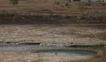 estiagemdois-357x210