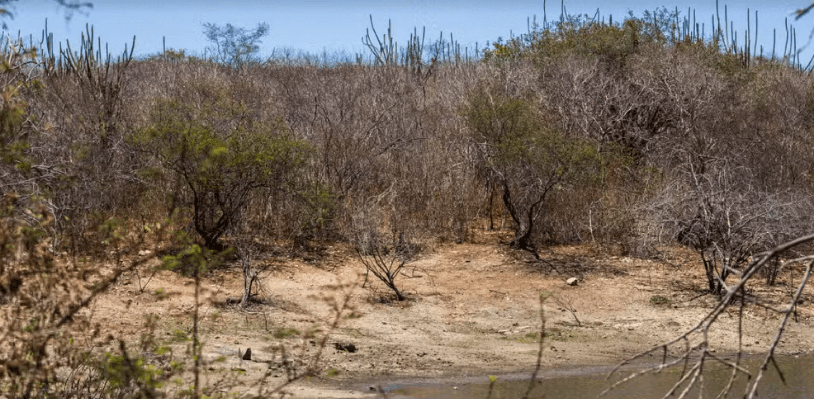 Opera Instantâneo_2024-10-21_221709_g1.globo.com