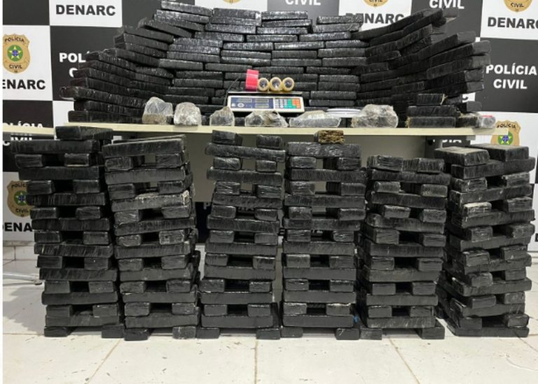 Cerca de 200 quilos de maconha são apreendidos em sítio na cidade de Salgado