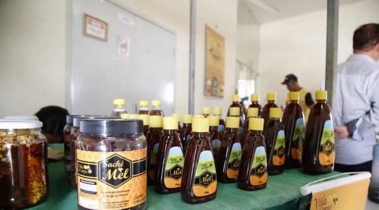 Emdagro intensifica cadastro de apicultores e meliponicultores