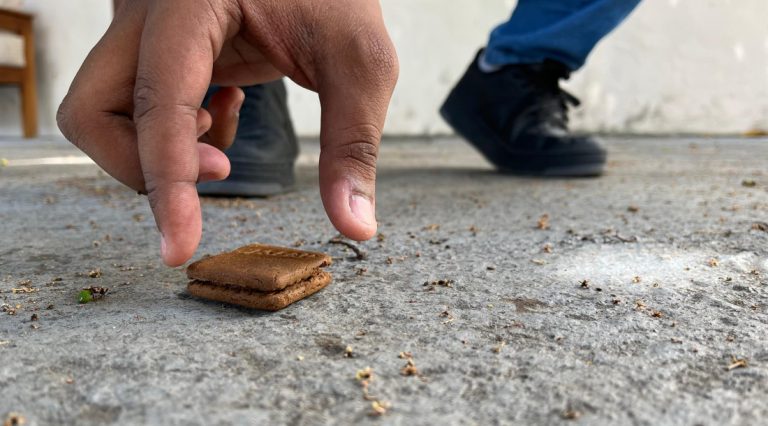 ITPS destaca riscos de comer alimentos que entram em contato com o chão