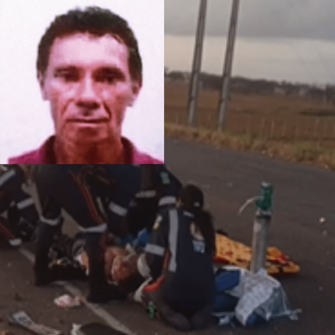 MODELO FEED - 2024-12-23T193501.200