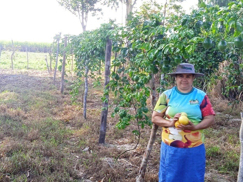 d4d6dcab-d8d0-4d8c-8501-bdc11287d12a