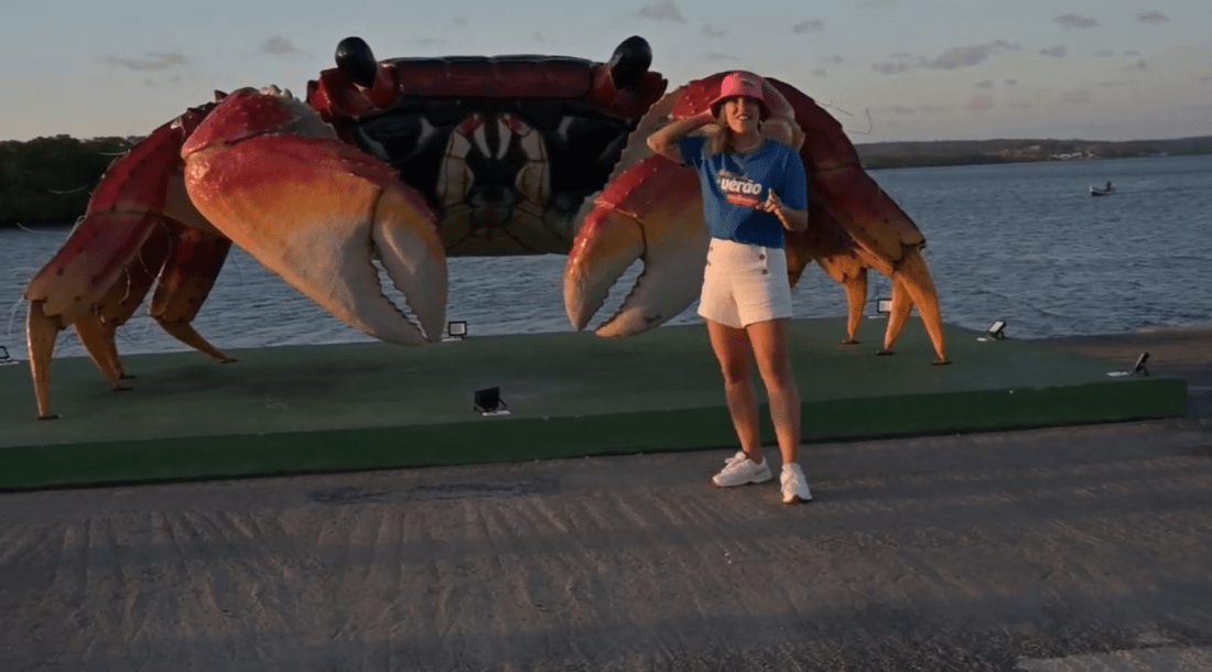 imagem_2024-12-10_112046850