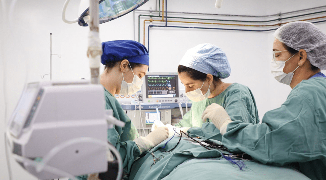 imagem_2024-12-19_110512591