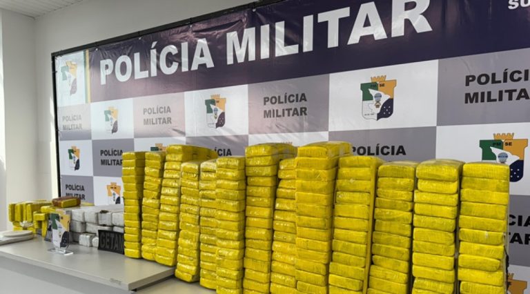 Segurança Pública apreende seis toneladas de drogas durante 2024