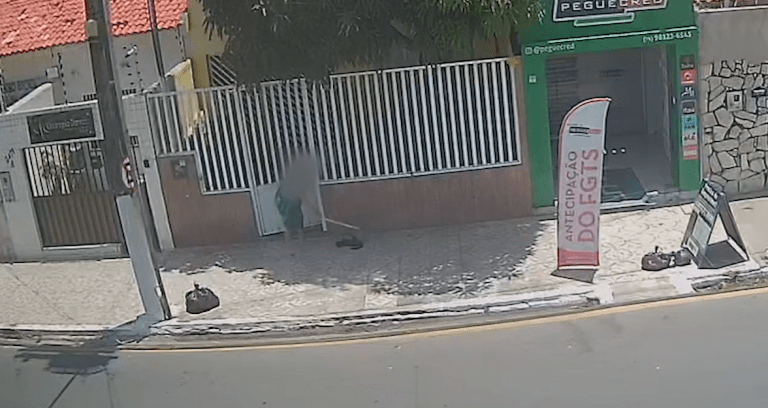 Polícia indicia idosa por agredir e matar gato com pedaço de madeira