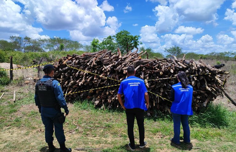 7º BPM apoia Secretaria de Meio Ambiente em operação contra o desmatamento Ilegal