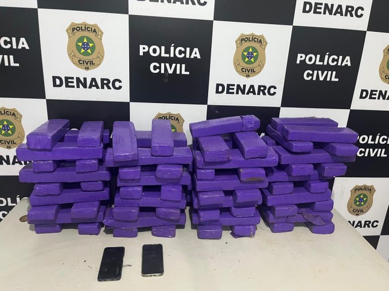 Polícia apreende 66 kg de maconha durante ação em Sergipe