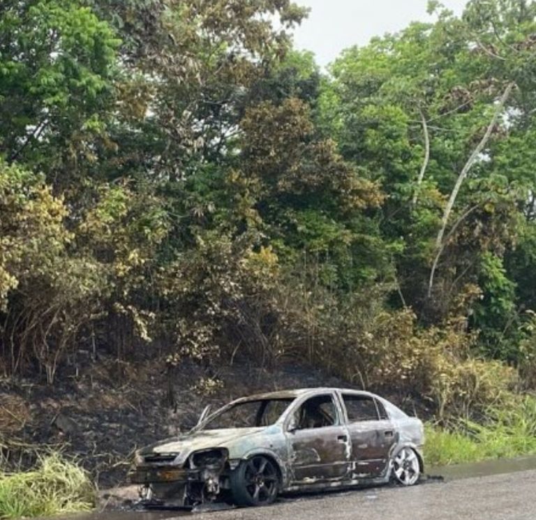 Veículo é encontrado incendiado na SE-270, em Salgado