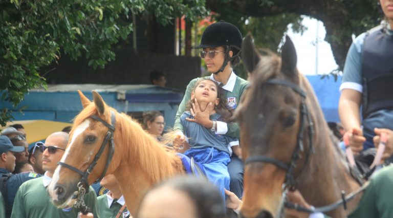 Governo lança edital para ampliação do serviço de equoterapia