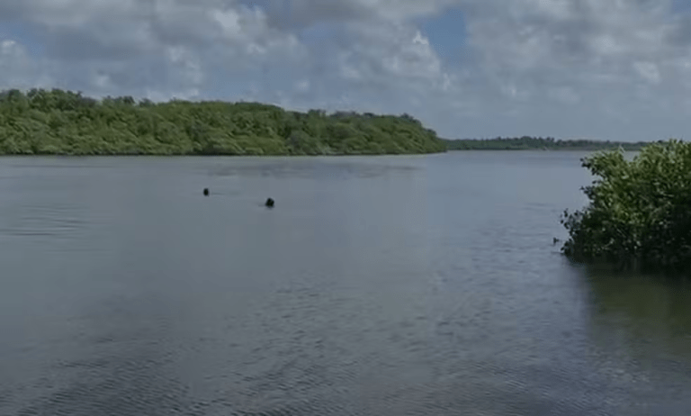 Bombeiros buscam adolescente que desapareceu no Rio Vaza-Barris