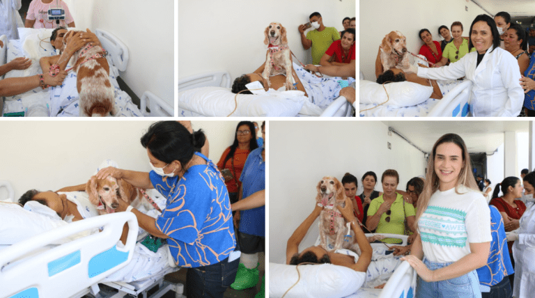 Ações de humanização contribuem para melhoria dos pacientes atendidos pelo Huse