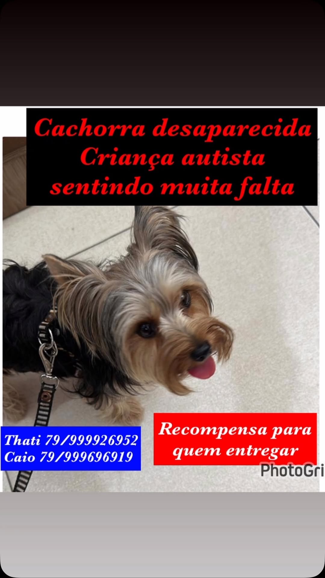 SaveClip.App_485096182_18502848058004258_6926223494098556882_n