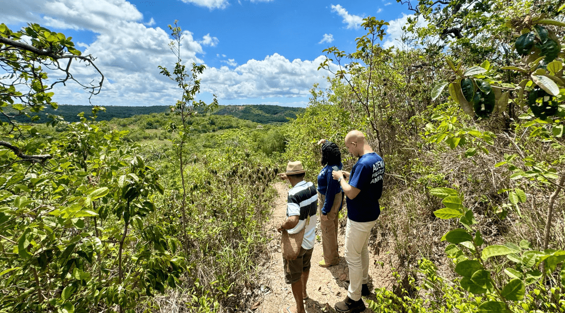 imagem_2025-03-21_105459213