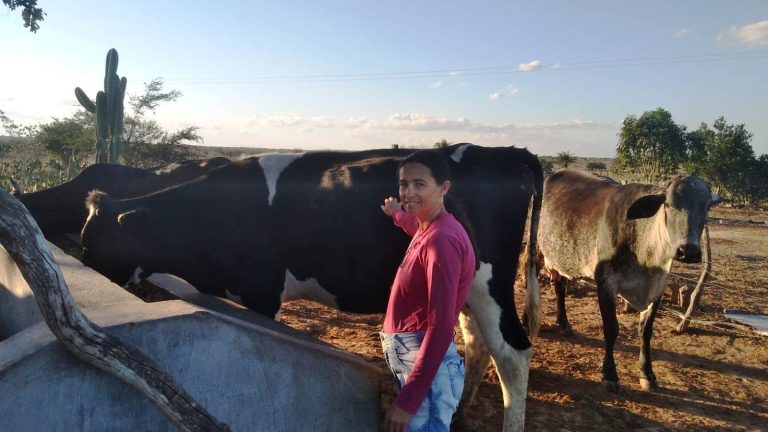 Produção de leite em Sergipe é a que mais cresce no Nordeste